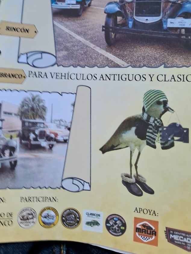 25 Y 26 DE JULIO PASEO DE INVIERNO UNIENDO RIO BRANCO CON CHARQUEADA