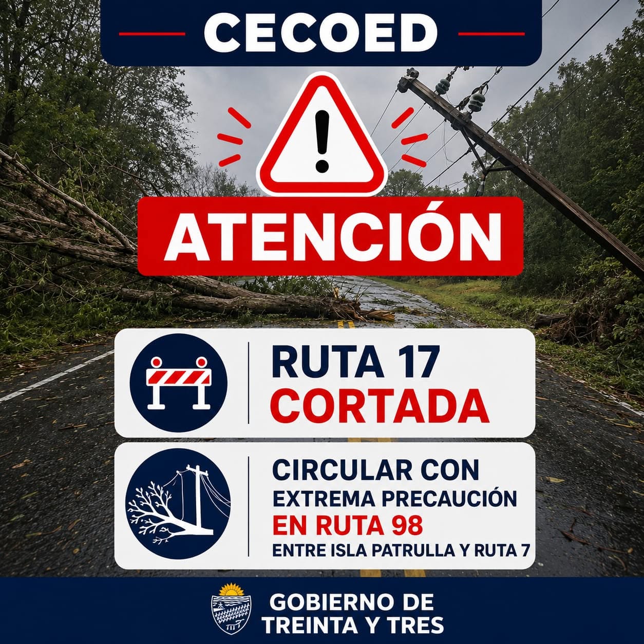 CAIDA DE ARBOLES EN RUTA 17 VIENTO PROMEDIO SEGUN ESTACION METEOROLOGICA INSTALADA EN  LIDER FM EN CHARQUEADA 59 KMS EN LA HORA